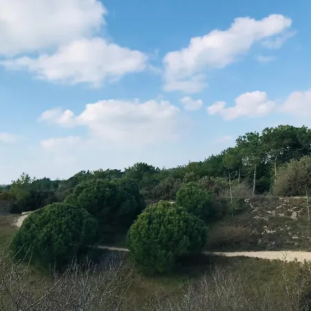 Maison Du Plantin Jardin & Calme Notre-Dame-de-Monts