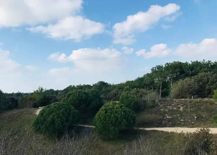 Maison Du Plantin Jardin & Calme Notre-Dame-de-Monts