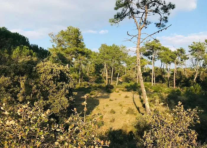 Сasa de vacaciones Maison Du Plantin Jardin & Calme *